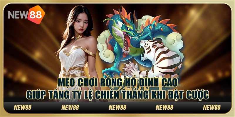 Mẹo chơi Rồng Hổ đỉnh cao giúp tăng tỷ lệ chiến thắng khi đặt cược