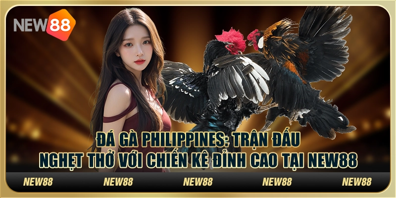Đá gà Philippines: Trận đấu nghẹt thở với chiến kê đỉnh cao tại New88