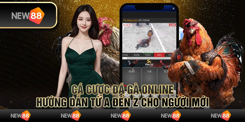 Cá cược đá gà online: Hướng dẫn từ A đến Z cho người mới