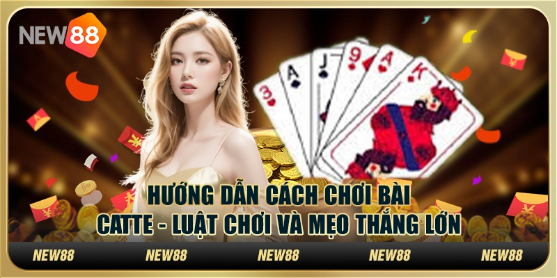 Hướng dẫn cách chơi bài Catte - Luật chơi và mẹo thắng lớn