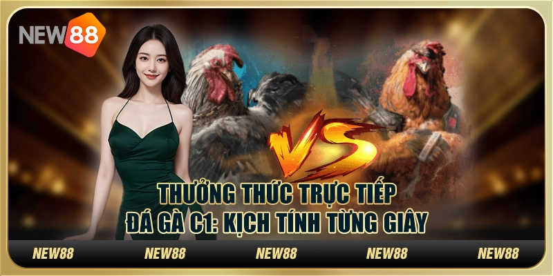Thưởng thức trực tiếp đá gà C1tại New88 : Kịch tính từng giây
