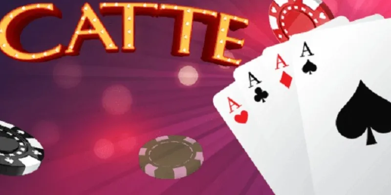 Thông tin tổng quát về bài Catte