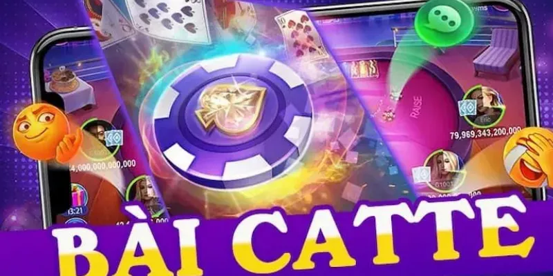 Các mẹo chơi bài Catte giúp bạn dễ dàng giành chiến thắng