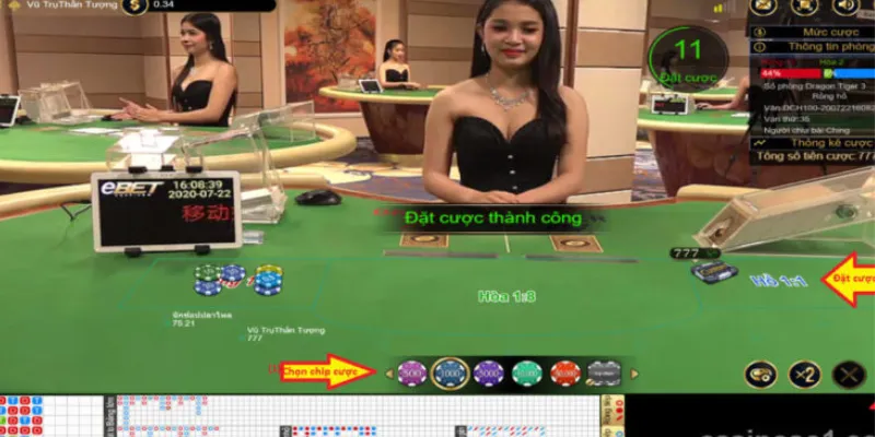 Các lỗi phổ biến cần tránh khi soi cầu Rồng Hổ