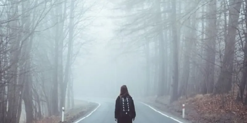 Giấc mơ về việc lạc lối giữa khu rừng