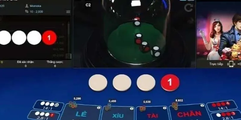 Những sai lầm khi thực hiện thuật toán xóc đĩa trong cá cược