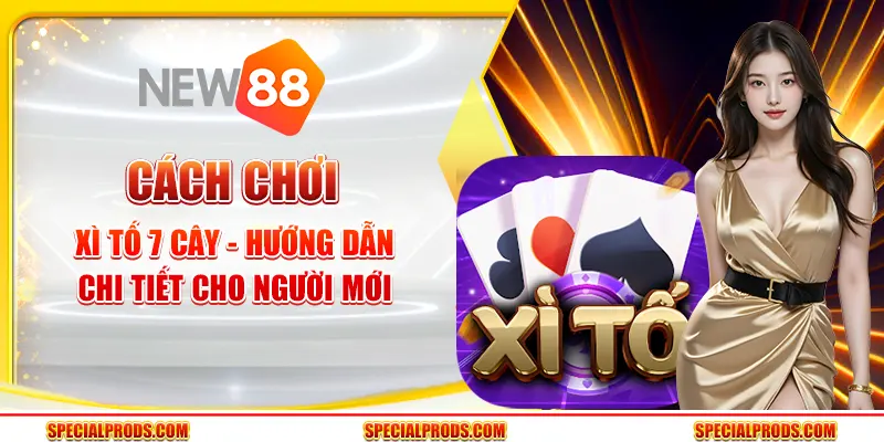 Cách chơi xì tố 7 cây - Hướng dẫn chi tiết cho người mới