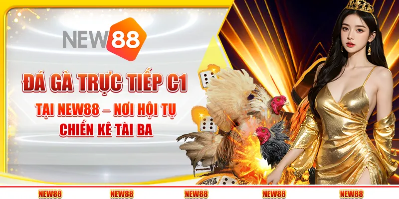 Đá gà trực tiếp C1 tại New88 – Nơi hội tụ chiến kê tài ba
