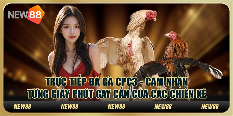 Trực tiếp đá gà CPC3 - Cảm nhận từng giây phút gay cấn của các chiến kê