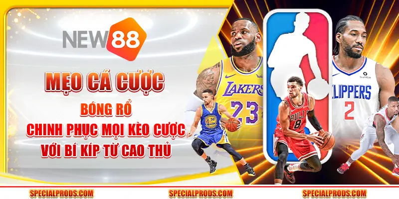 Mẹo cá cược bóng rổ - Chinh phục mọi kèo cược với bí kíp từ cao thủ