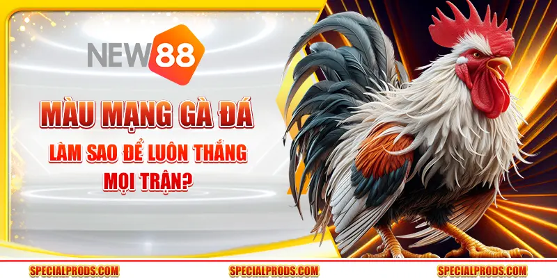 Màu mạng gà đá - Làm sao để luôn thắng mọi trận?