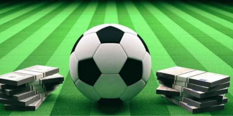 Khái niệm về cược rung là gì?