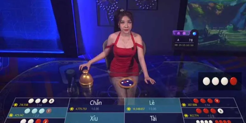 Phân tích vai trò của xác suất trong trò xóc đĩa