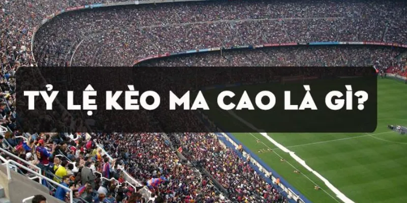 Hướng dẫn đọc tỷ lệ kèo cược Ma Cao đúng cách