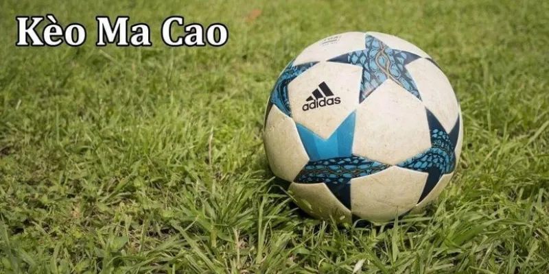 Cách phân biệt kèo Ma Cao chất lượng cao