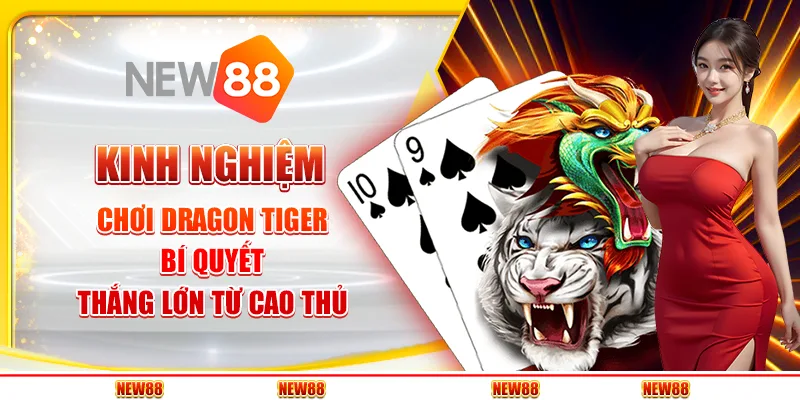 Kinh nghiệm chơi Dragon Tiger - Bí quyết thắng lớn từ cao thủ
