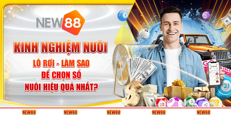 Kinh nghiệm nuôi lô rơi - Làm sao để chọn số nuôi hiệu quả nhất?