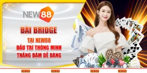 Bài Bridge tại New88 - Đấu trí thông minh, thắng đậm dễ dàng