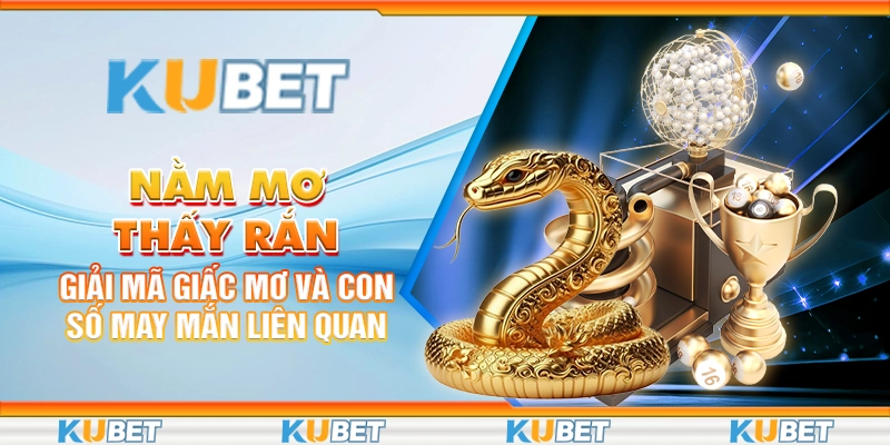 Nằm Mơ Thấy Rắn: Giải Mã Giấc Mơ Và Con Số May Mắn Liên Quan