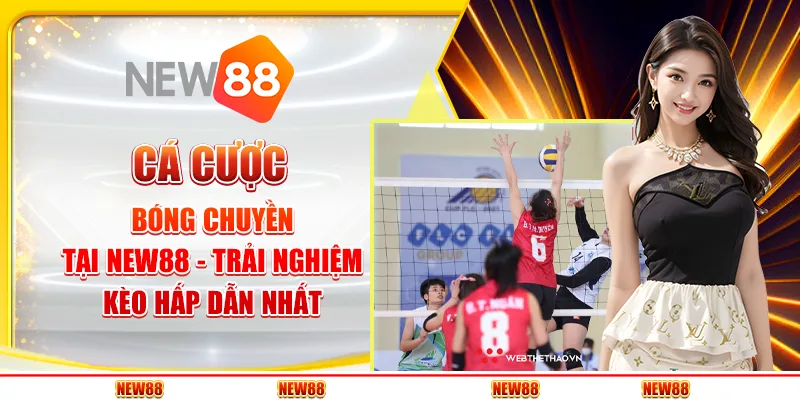 Cá cược bóng chuyền tại New88 - Trải nghiệm kèo hấp dẫn nhất