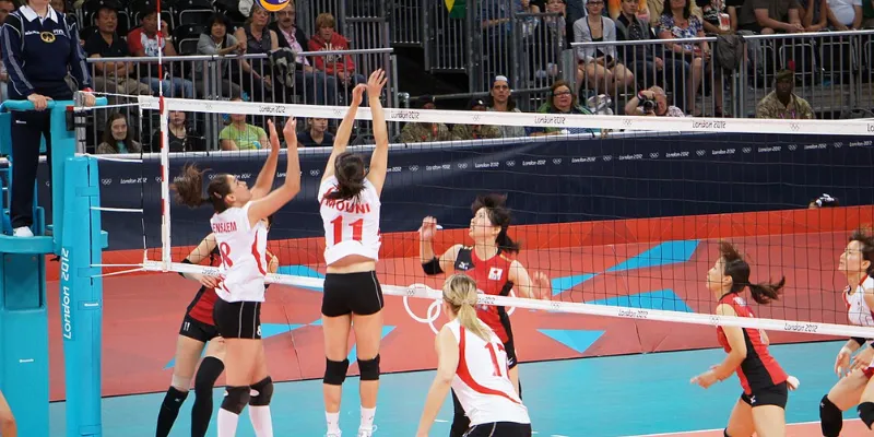 Đánh giá các loại cược bóng chuyền