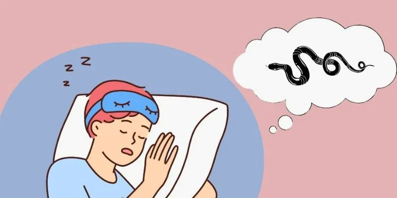 Con số may mắn khi có thể mơ thấy rắn và đặt cược hiệu quả nhất 2025