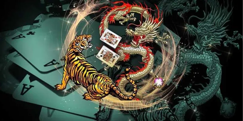 Những lưu ý khi đặt cược trong Dragon Tiger