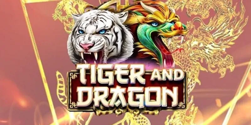 Mẹo đánh rồng hổ Bong88