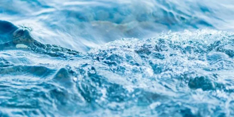 Mơ thấy nước trong và tĩnh lặng