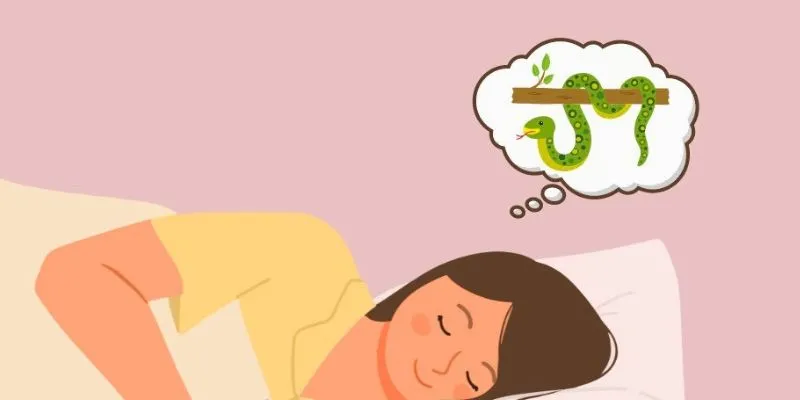 Tìm hiểu về việc điềm báo trong khi nằm mơ thấy rắn mới nhất 2025