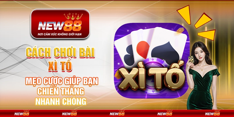 Cách chơi bài xì tố – Mẹo cược giúp bạn chiến thắng nhanh chóng
