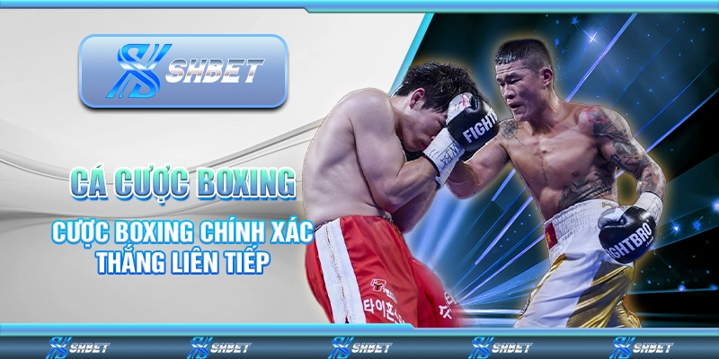 Cá Cược Boxing - Cược Boxing Chính Xác Thắng Liên Tiếp