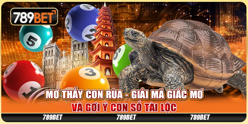 Mơ Thấy Con Rùa