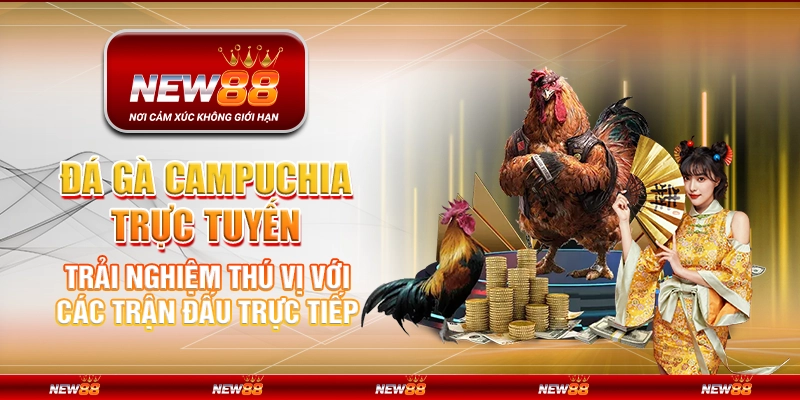 Đá gà Campuchia trực tuyến – Trải nghiệm thú vị với các trận đấu trực tiếp
