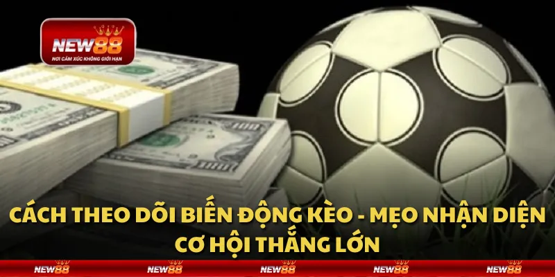 Cách theo dõi biến động kèo - Mẹo nhận diện cơ hội thắng lớn