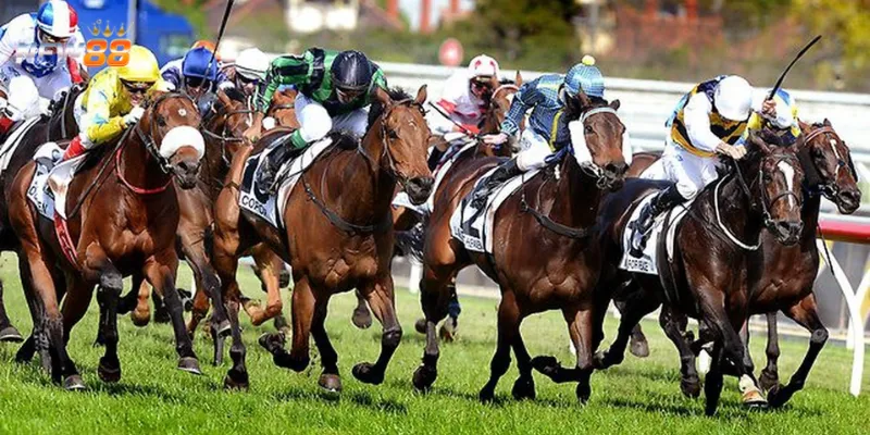 Những điều cần biết về cá cược đua ngựa