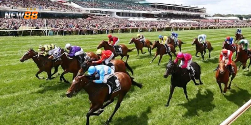 Phân tích chi tiết các loại cược đua ngựa tại New88