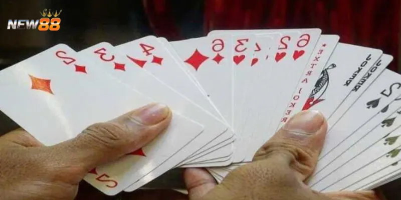 Cách dụ heo đỏ thành công trong game bài Tiến Lên