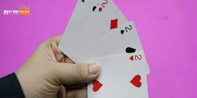 Các sai lầm mà người chơi hay gặp khi bẫy heo đỏ