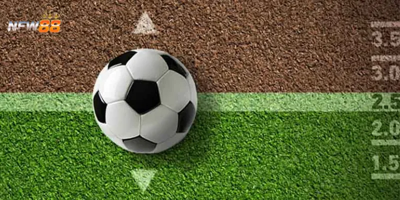 Những điều cần tránh khi theo dõi tỷ lệ kèo