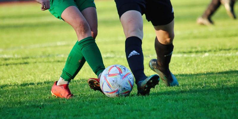 Nếu thấy đội ổn định hãy chọn cửa dưới