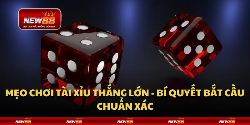 Mẹo chơi tài xỉu thắng lớn - Bí quyết bắt cầu chuẩn xác