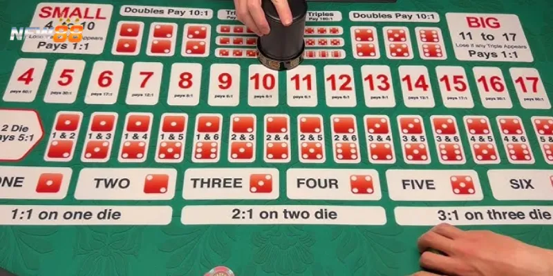 Phân tích các kiểu cược và mức trả thưởng của Tài Xỉu