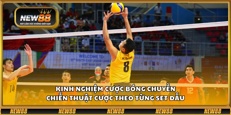 Kinh nghiệm cược bóng chuyền - Chiến thuật cược theo từng set đấu