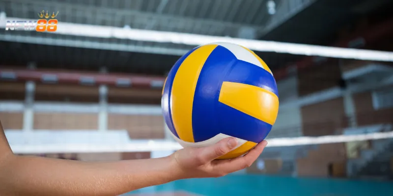 Kinh nghiệm cược bóng chuyền ăn đậm là gì?