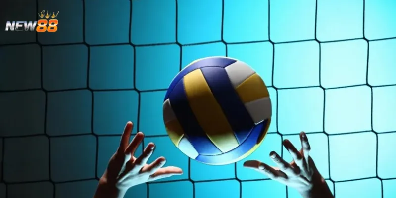 Những yếu tố nào tác động đến kết quả trận bóng chuyền?