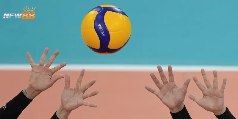 Làm thế nào để chọn kèo bóng chuyền chuẩn xác nhất?