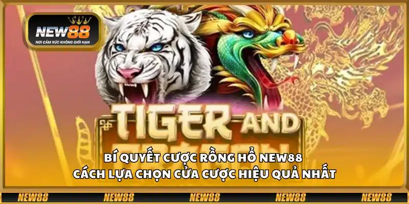 Bí quyết cược rồng hổ New88 - Cách lựa chọn cửa cược hiệu quả nhất