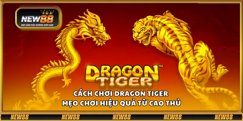 Cách chơi Dragon Tiger – Mẹo chơi hiệu quả từ cao thủ