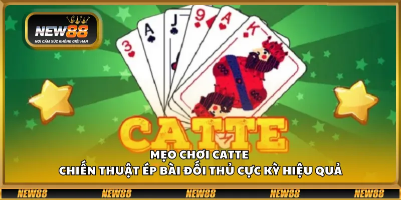 Mẹo chơi Catte – Chiến thuật ép bài đối thủ cực kỳ hiệu quả